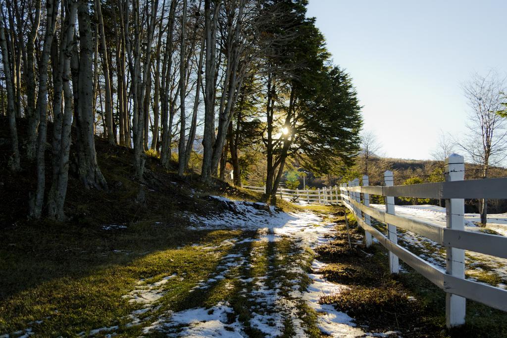 Alojamento de Turismo Selvagem Aldea Nevada
